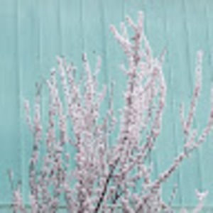 Meet your Posher, Blakely